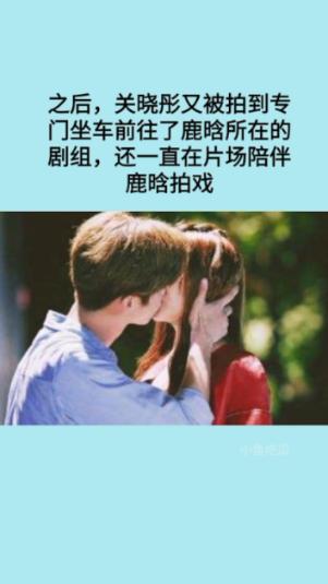 救援可爱小猪仔